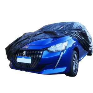 Capa-Peugeot-208